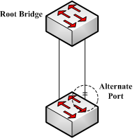 MSTP说明书 - AlternatePort