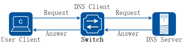 DNS