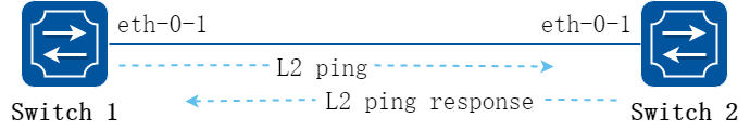 ping a switch port