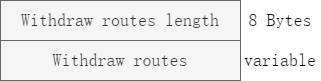 Withdraw路由报文格式
