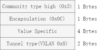 Community Transitive Opaque Encapsulation 报文格式