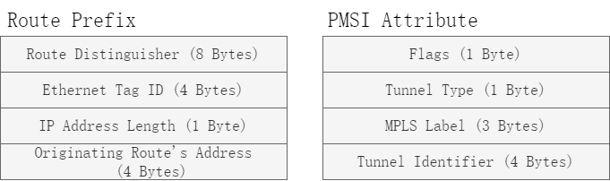 Type3路由前缀和PMSI属性